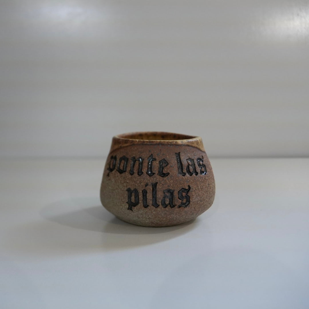 Ponte las pilas
